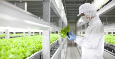 農業用途のイメージ