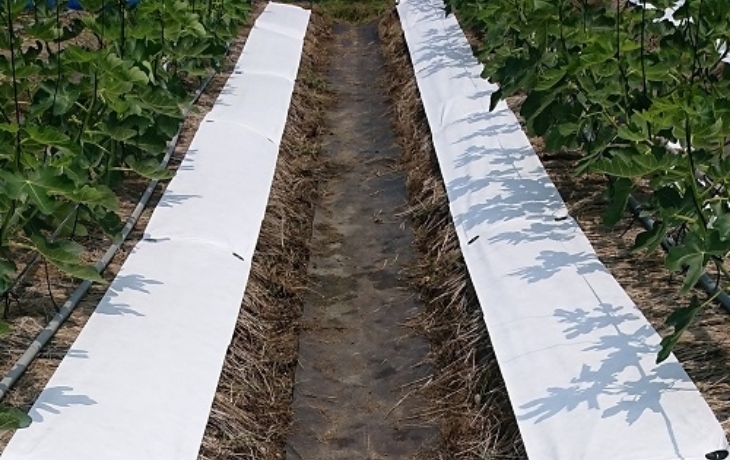 光拡散・高反射